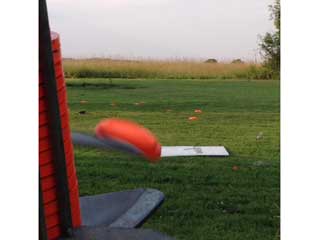 Sporting image 9